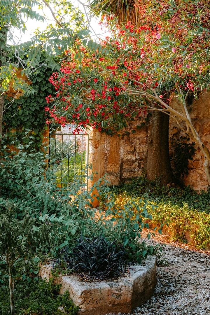 Puerta de hierro en un muro de piedra entre adelfas en flor
