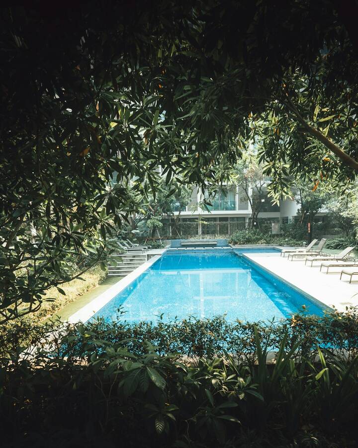 Piscina rodeada de árboles y setos